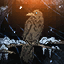 status icon