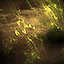status icon