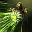 status icon